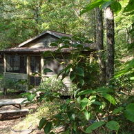 Dogwood Den in Summer